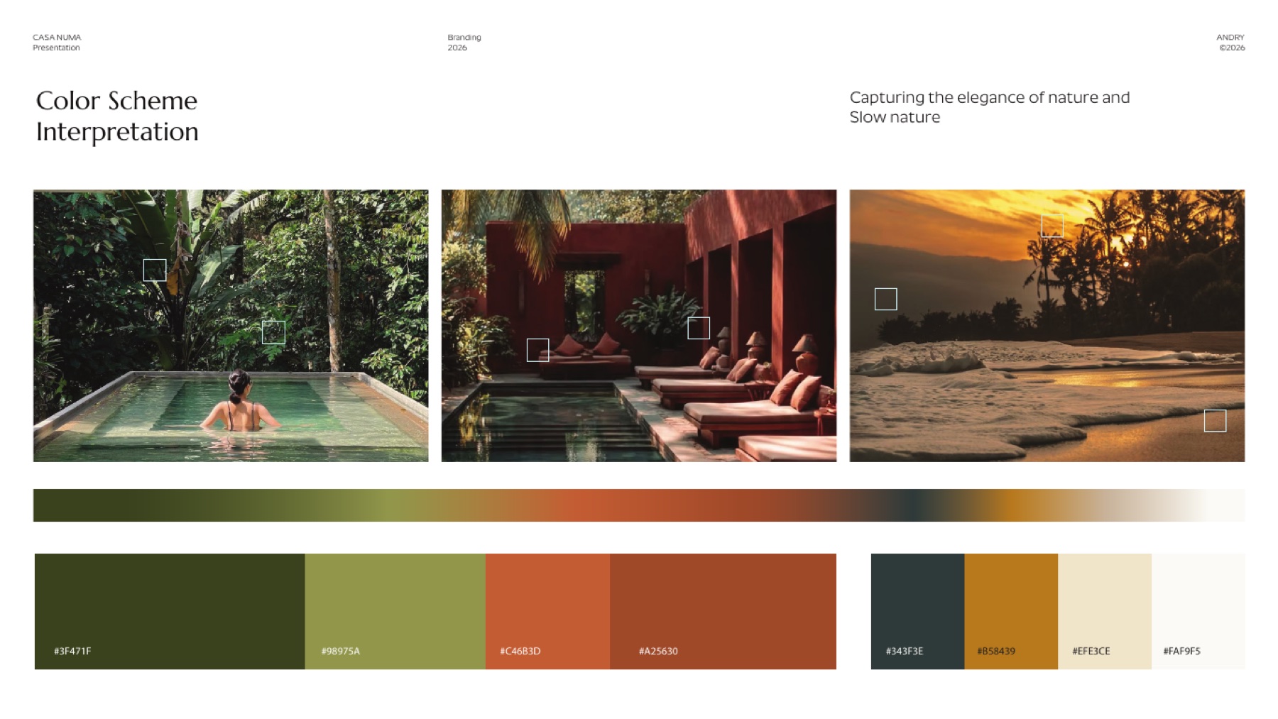 Palette couleur et direction visuelle Casa Numa